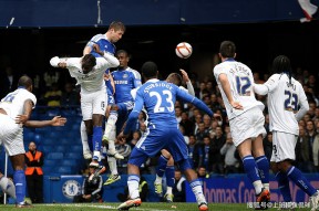 九游体育官网-十八反十九畏口诀表